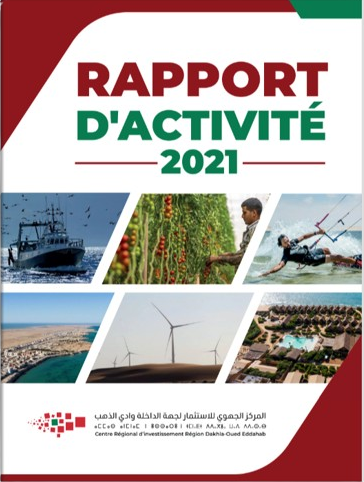 Rapport 2021